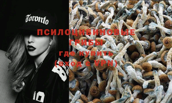 дурь Осташков