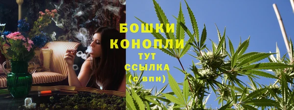 дурь Осташков
