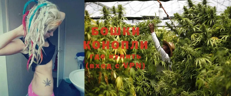 Бошки Шишки OG Kush  Кущёвская 